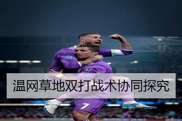 温网草地双打战术协同探究